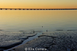 Tagus River ! :) by Elia Correia 